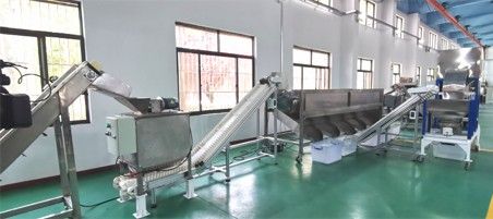 核桃去青皮清洗、提升機